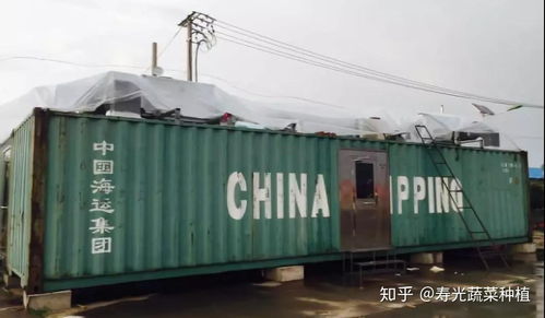 植物工厂你听说过吗 一起来目睹这个先进的生产系统