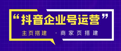 抖音企业蓝v号运营,主页搭建 商家页搭建,让你更大程度上宣传产品并产生转化